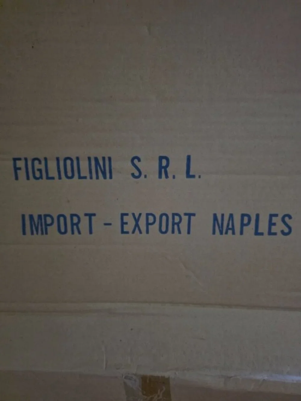 FIGLIOLINI S.R.L. elegant pink